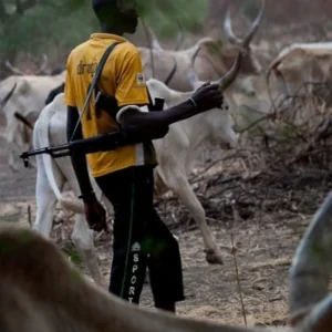 Herdsmen Violence and the Unfolding Tragedy, gong-news.com