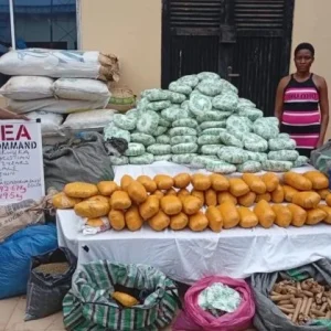 NDLEA operatives display cartons of seized tramadol pills recovered from trailers during a cross-border anti-drug operation in Nigeria.