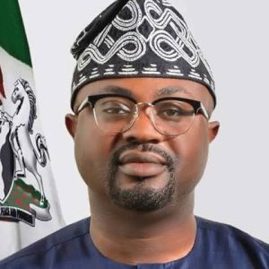 Olubunmi Tunji-Ojo: A Star in Nigeria’s Firmament – Blessing Ele-ojo