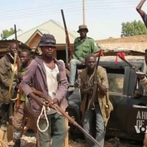 Armed herders invade Benue community, kill 15 in fresh attack 