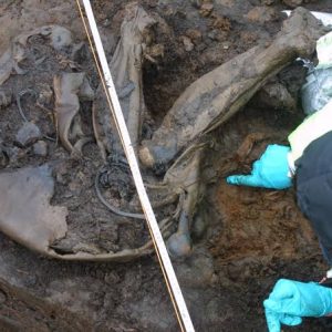 Decomposing body of retired Benue judge found at home