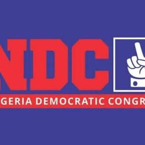 NDC candidate, Anaocha 1, Anambra politics, Nkechi Ogbuefi, Azubuike Okoye, 2027 Anambra election