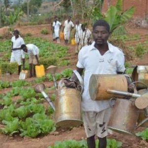 Tunji-Ojo seeks NIRSAL partnership to help inmates grow their food
