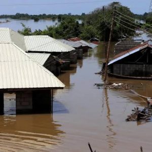 Borno flood: NEMA deploys more staff for intervention