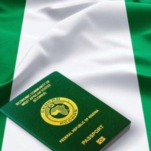 Nigeria Launches Contactless Passport Renewal System, gong-news.com