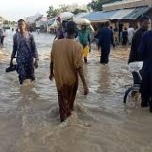 Flood kill 24, destroy property worth N22bn in Bauchi