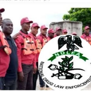 NDLEA apprehends two Ghanaians, 11 others for drug trafficking
