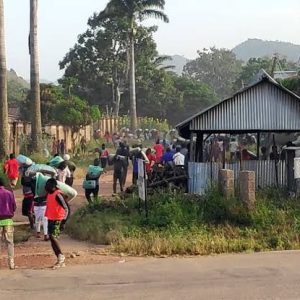 Family of seven die of cassava food poisoning in Sokoto