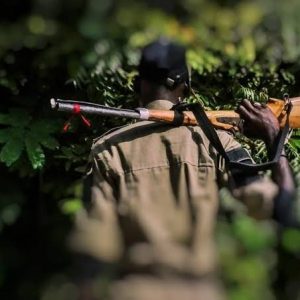 Hunter found dead with bullet wounds in Ogun forest