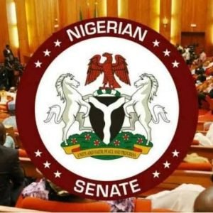 Head of the Civil Service of the Federation, Didi Walson-Jack, appears before the House of Representatives ad hoc committee investigating the PFIPC scandal.