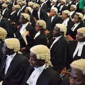 Lawyers gathered in court as the Legal Practitioners' Privileges Committee elevates 68 practitioners to the rank of Senior Advocate of Nigeria.