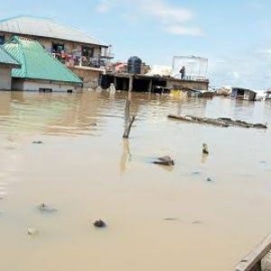 Flood : 100 houses,15 goats washed away in Gombe