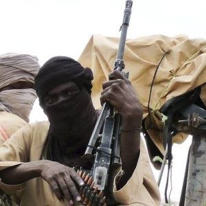 I’ll rather die than allow bandits take over Yankari reserve – Bauchi gov