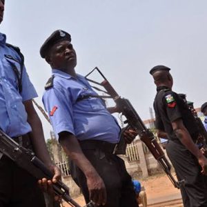 Nationwide protest: Police warns against violence in Borno, say state under emergency