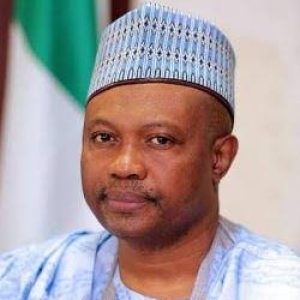 Tinubu appoints Arabi as CEO, dissolves Hajj Commission board