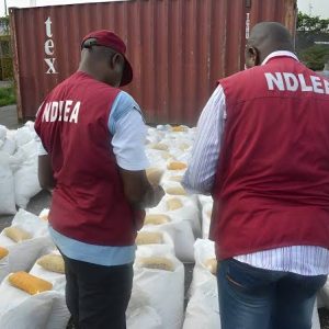NDLEA seizes 491.032 kgs of illicit drugs, arrests 27 suspects in Bayelsa