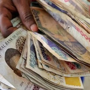 FG set to ban naira from all crypto trading platforms 